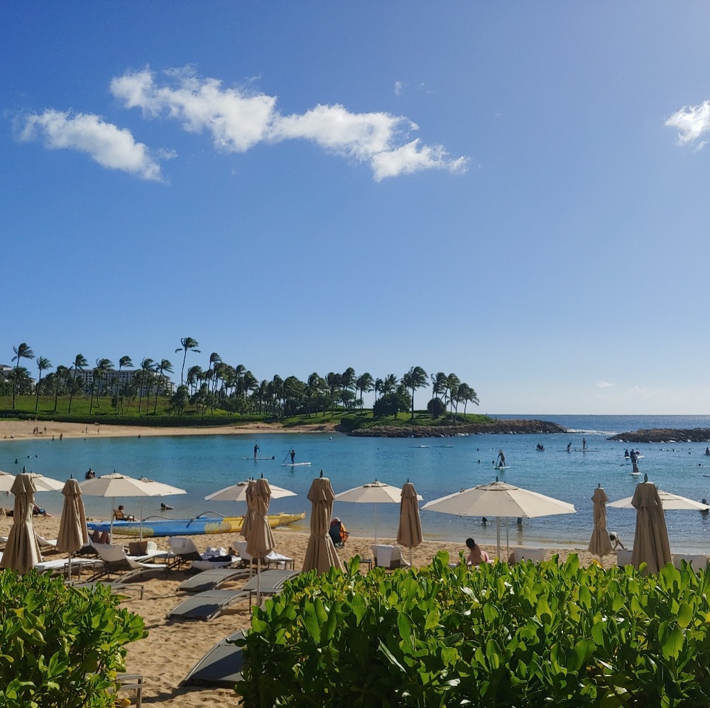 Meet your Posher, YJ